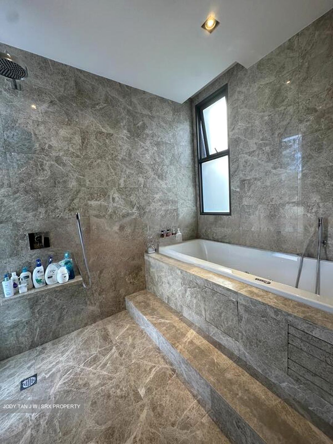 Harbourfront Avenue (D4), Detached #466420441